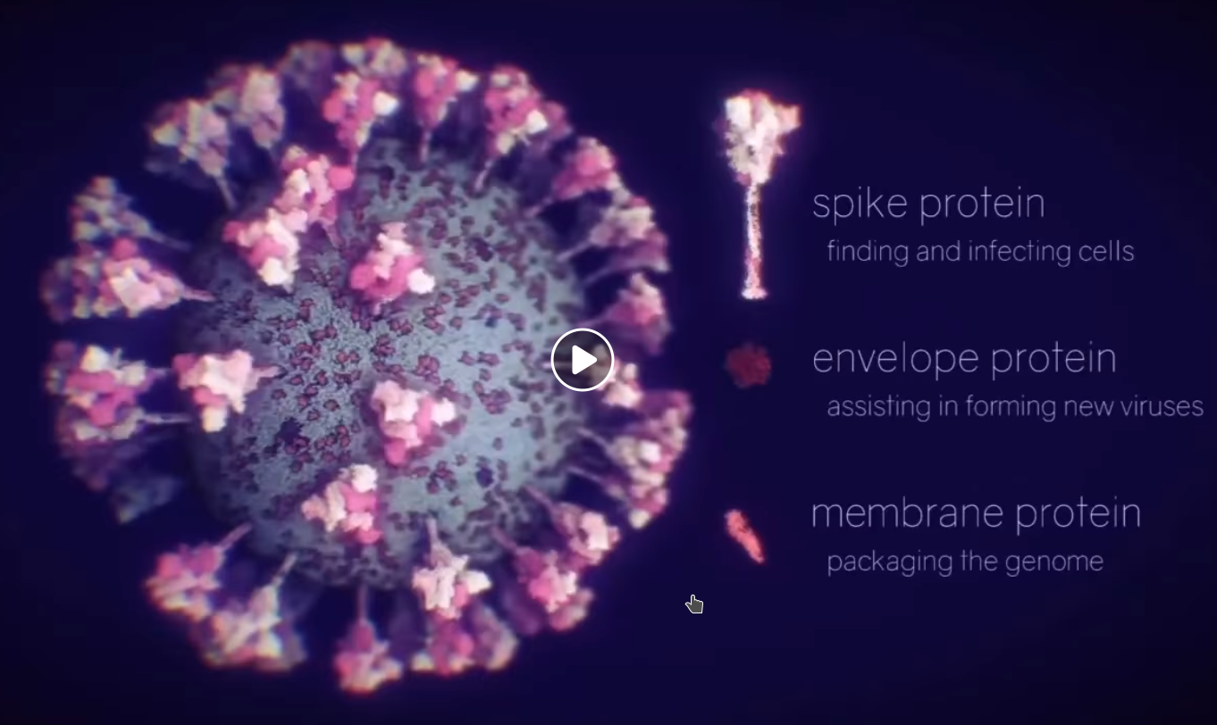 Máme tu Sars-Cov-2, volajte policajného sajborga 4285, potrebujeme jeho metamorf: