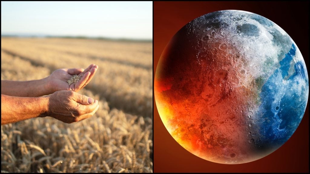 Vedci odhalili tichú katastrofu, Hruboš má však riešenie: