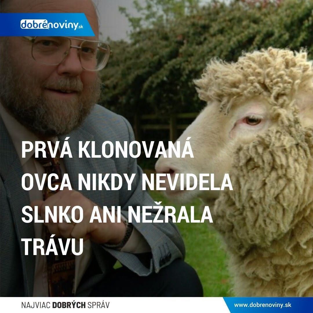 Komentár: Naozaj sa klonovať NEDÁ?