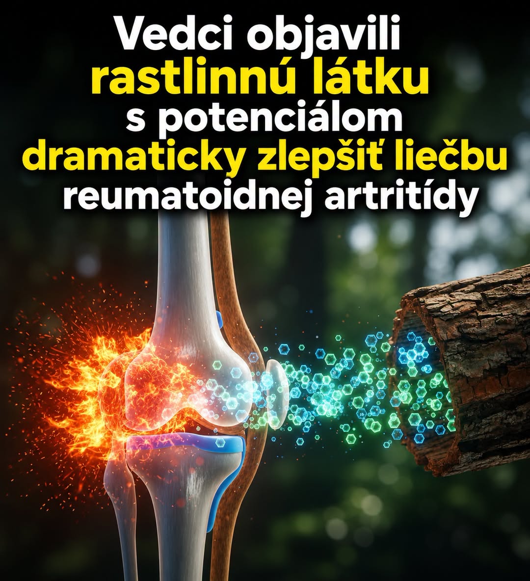 Ono liečili sme mamine reumu a podarilo sa. Ako? Jednoducho - kyselinou vínnou, ktorá sa rozkladá na octany, čiže octanovú masť na zápaly a prešlo :)